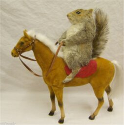 thumbnail of squirrelscout.png