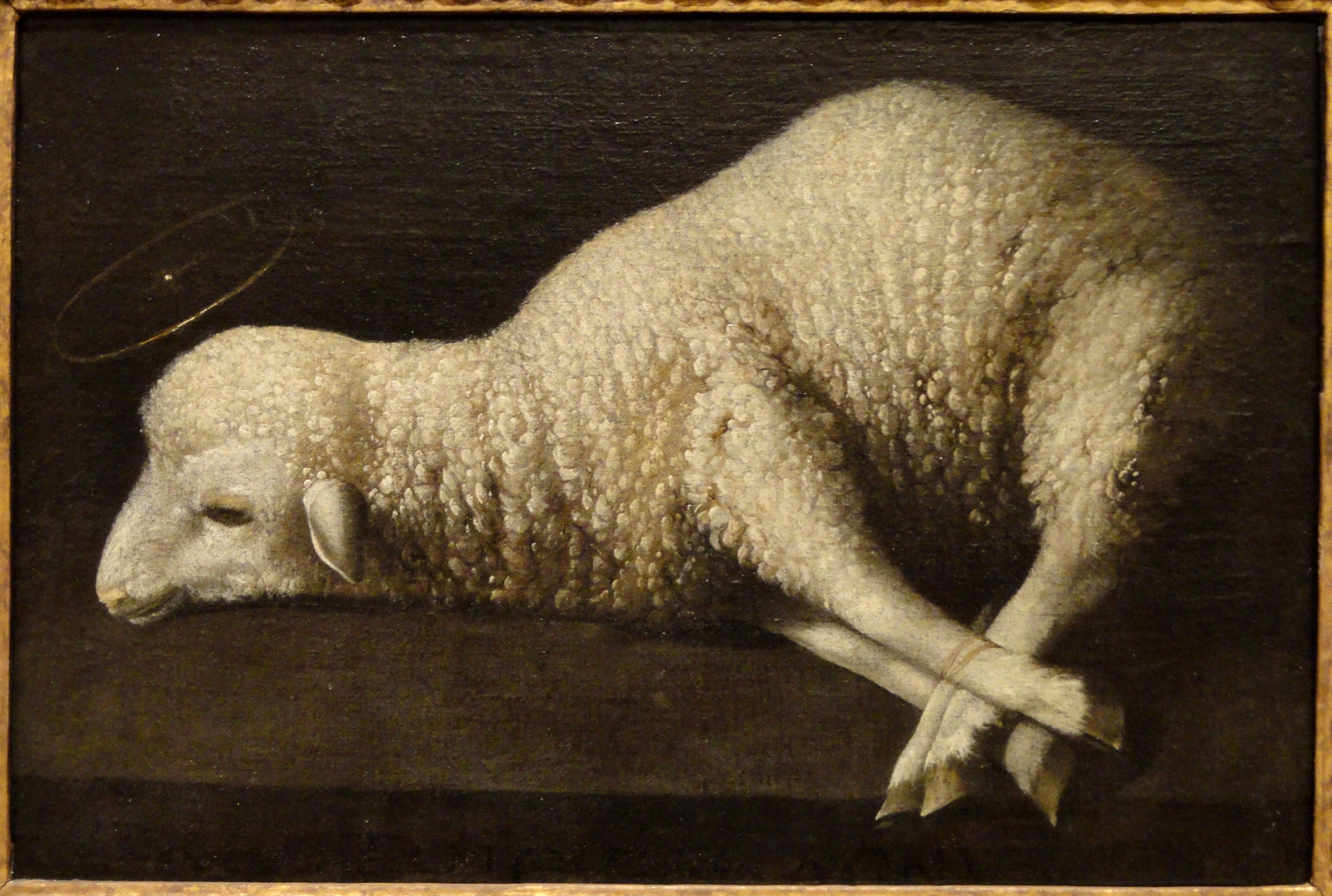 Мертвые ягнята. Сурбаран Агнец. Агнец Божий де Сурбаран. Франсиско Сурбаран Агнец Божий. Франсиско Сурбаран (1598-1664).