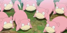 thumbnail of slowpoke_pokemon.avif