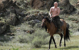 thumbnail of putin-3-292599785.jpg