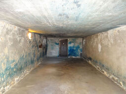 thumbnail of 1200px-2013_KL_Majdanek_Baths_and_Gas_Chamber_-_30.jpg