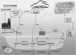 thumbnail of Schematic-view-of-mercury-environmental-recycling-from-the-atmospheric-emission.jpeg