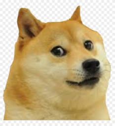 thumbnail of doge.png