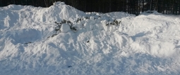 thumbnail of Snowhenge.jpg