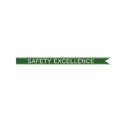 thumbnail of u-s-army-safety-excellence-streamer-1.gif