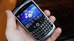 thumbnail of blackberry.jpg