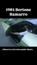 thumbnail of Bertone Ramarro.mp4