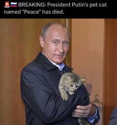 thumbnail of putin_pussy.jpeg