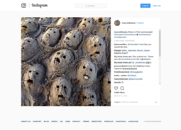 thumbnail of @marceldzama_on_Instagram_“Return_of_the_sand_people!_fireisland_funinthesun☀️_onthebeach_sandpeople”_-_2018-05-02_06.51.58.png