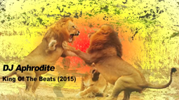 thumbnail of DJ Aphrodite - King Of The Beats -2015-.mp4