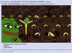 thumbnail of Planting Pepe SEEDs_2.png