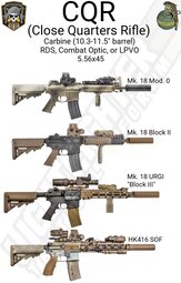 thumbnail of close-quarters-rifle-983x1536.jpeg