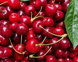 thumbnail of cherries.jpg