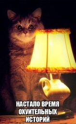 thumbnail of story_cat.JPG