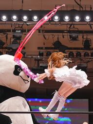 thumbnail of mizuki hits panda wrestling.jpg