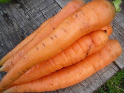 thumbnail of 800px-Carrots.jpg