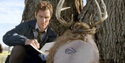 thumbnail of rust-cohle-investigates-the-first-murder-in-season-1-1-1024x512.jpeg