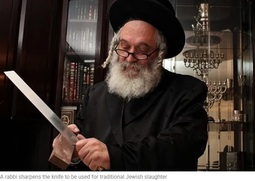 thumbnail of a rabbi.jpg