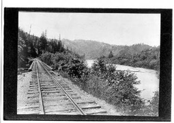thumbnail of Railroad tracks to Guerneville.jpg