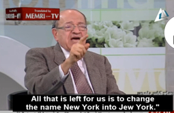 thumbnail of jew york.jpg