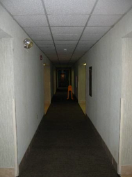 thumbnail of hallway.mp4