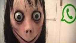 thumbnail of momo1-1200x675.jpg