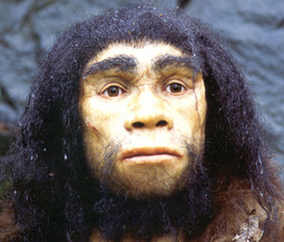 thumbnail of homo.heidelbergensis.a.jpg