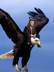 thumbnail of trump eagle.jpg