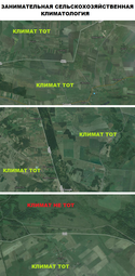 thumbnail of климат не тот.png