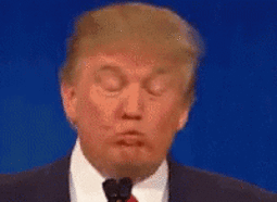 thumbnail of trump.gif