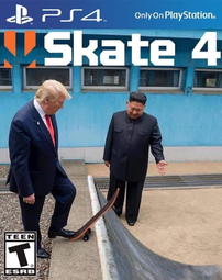 thumbnail of Trump skate.png