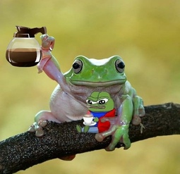 thumbnail of frogs coffee.jpg