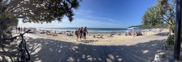 thumbnail of IMG_8179.jpeg