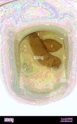 thumbnail of O8Gmvx9ONFi715utgdH.jpg