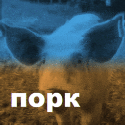thumbnail of d7.gif