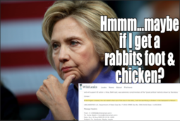 thumbnail of Hillary Chicken.png