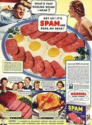 thumbnail of spam-1960s-usa-hormel-meat-tinned-disgusting-food-7067963.jpg