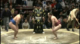 thumbnail of sumo-waitu-piggu.webm