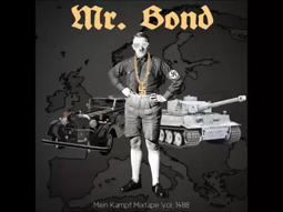 thumbnail of MrBond_WhyWePissed.webm
