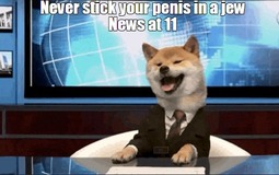 thumbnail of (4).jpg
