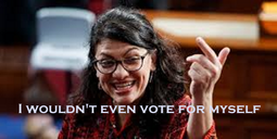 thumbnail of no_vote.png