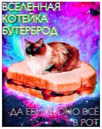 thumbnail of вселенная котейка бутерброд.jpg