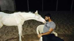 thumbnail of 20-1445324645-ravindrajadeja-horse-600.jpg