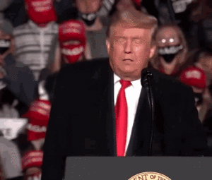 thumbnail of donald-trump-potus.gif
