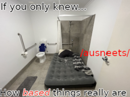 thumbnail of banner_nuro_toilet.png