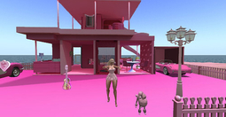 thumbnail of barbie sim.jpg