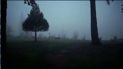 thumbnail of Silent Hill 2 OST - The Day Of Night (ＤｏｏｍｅｒExtended version ⧸ Walking footage).mp3