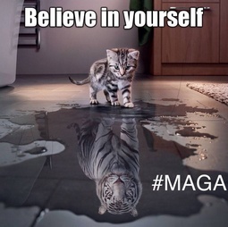 thumbnail of believe-yourself-cat-maga.jpg