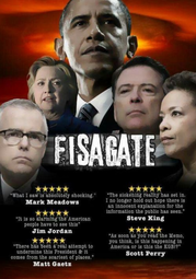 thumbnail of Fisagate movie poster.png