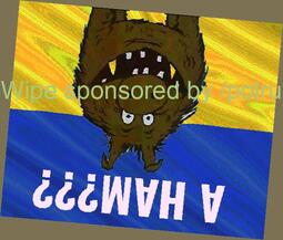 thumbnail of 633a7ULgvjHAUYiqpyJ.jpg